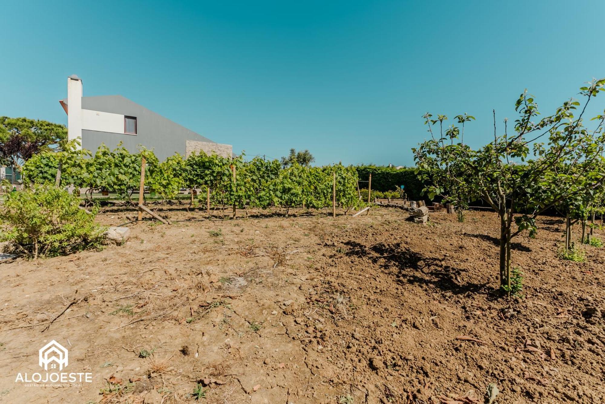 Páteo Sagaipo Vila Lourinhã Exterior foto